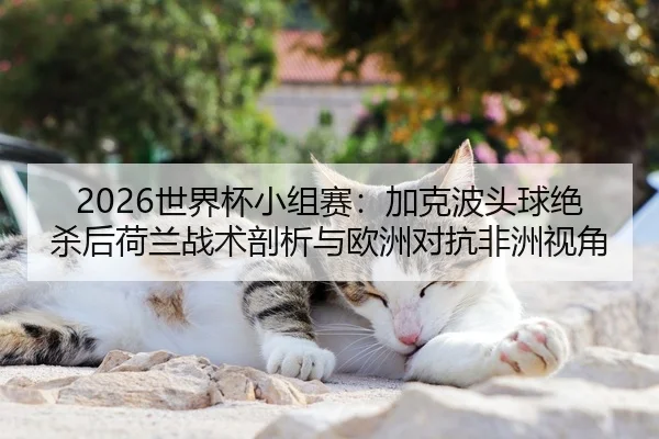 shi-jie-bei-xiao-zu-sai-jia-ke-bo-tou-qiu-jue-sha-hou-he-lan-zhan-shu-pou-xi-yu-ou-zhou-dui-kang-fei-zhou-shi-jiao-2-402.jpg