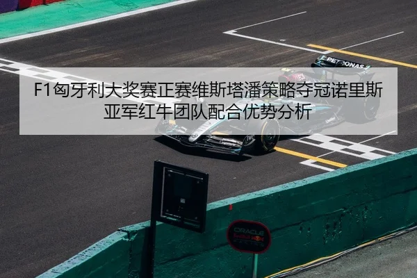 xiong-ya-li-da-jiang-sai-zheng-sai-wei-si-ta-pan-ce-lve-duo-guan-nuo-li-si-ya-jun-hong-niu-tuan-dui-pei-he-you-shi-fen-2-453.jpg