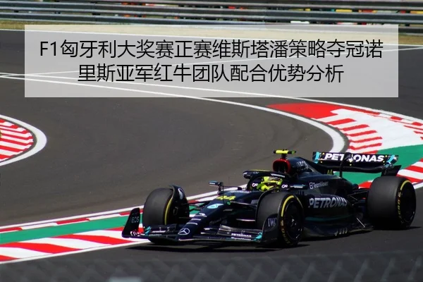 F1匈牙利大奖赛正赛维斯塔潘策略夺冠诺里斯亚军红牛团队配合优势分析
